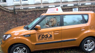 Fake Driving School - Cindy Shine inkább dug a vezetés helyett