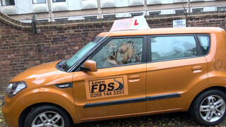 Fake Driving School cuki japán hölgyemény szexelni akar