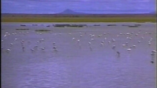 A vadon lánya (1997) - Szinkronos xxx film